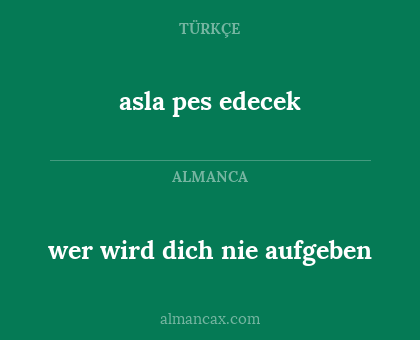 wer wird dich nie aufgeben - asla pes edecek