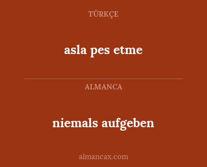 niemals aufgeben - asla pes etme