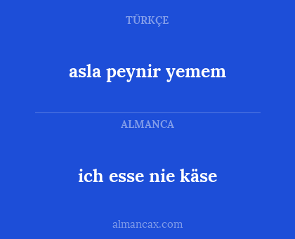 ich esse nie käse - asla peynir yemem