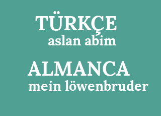 aslan+abim-mein+l%C3%B6wenbruder.png