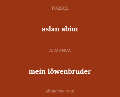 aslan abim - mein löwenbruder