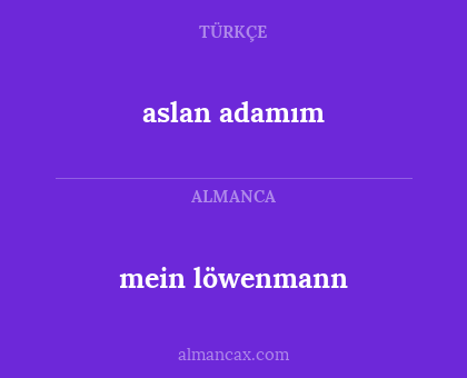 mein löwenmann - aslan adamım