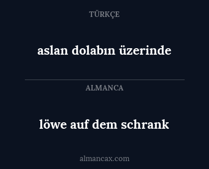 aslan dolabın üzerinde - löwe auf dem schrank