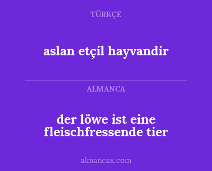 der löwe ist eine fleischfressende tier - aslan etçil hayvandir