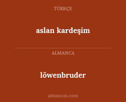 löwenbruder - aslan kardeşim