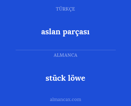 stück löwe - aslan parçası