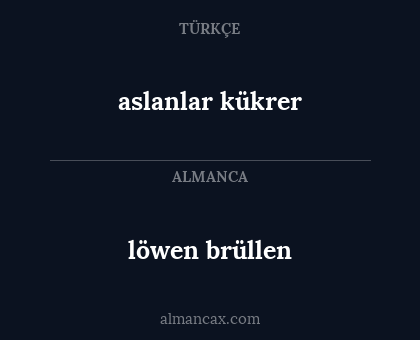 aslanlar kükrer - löwen brüllen