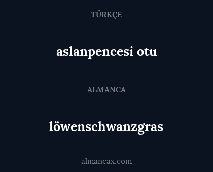 löwenschwanzgras - aslanpencesi otu