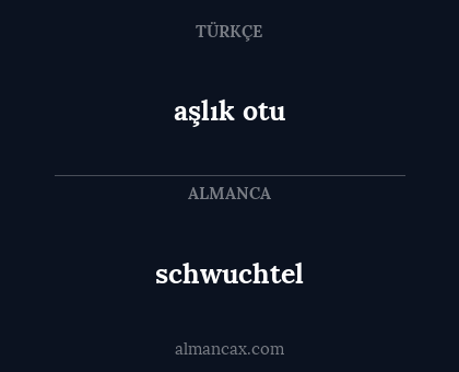 aşlık otu - schwuchtel