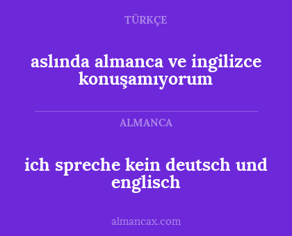 ich spreche kein deutsch und englisch - aslında almanca ve ingilizce konuşamıyorum