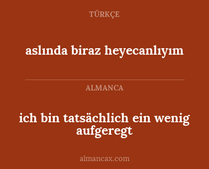 ich bin tatsächlich ein wenig aufgeregt - aslında biraz heyecanlıyım
