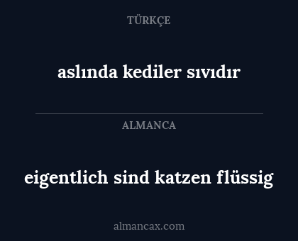 eigentlich sind katzen flüssig - aslında kediler sıvıdır