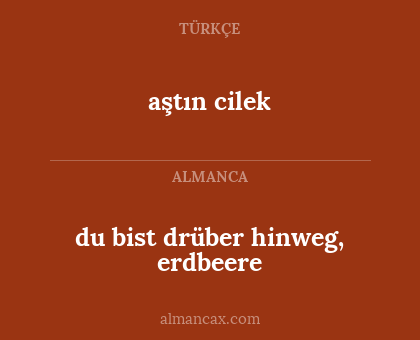 du bist drüber hinweg, erdbeere - aştın cilek