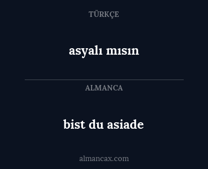 asyalı mısın - bist du asiade