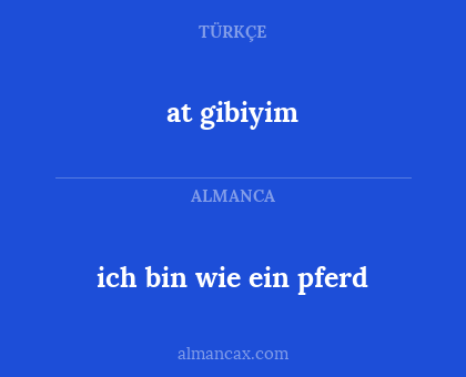 at gibiyim - ich bin wie ein pferd