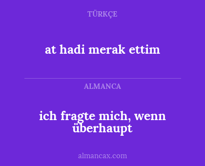 ich fragte mich, wenn überhaupt - at hadi merak ettim