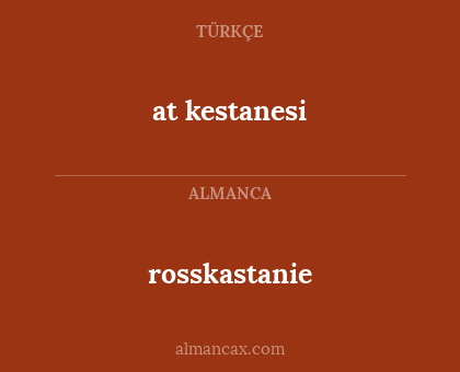 at kestanesi - rosskastanie