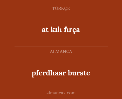 pferdhaar burste - at kılı fırça