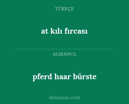 pferd haar bürste - at kılı fırcası