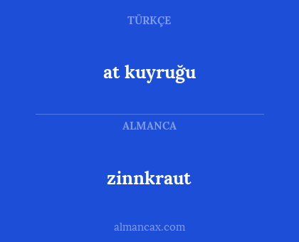 at kuyruğu - zinnkraut
