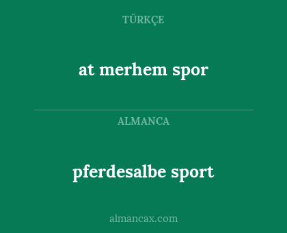 pferdesalbe sport - at merhem spor