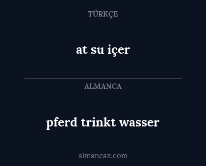 at su içer - pferd trinkt wasser