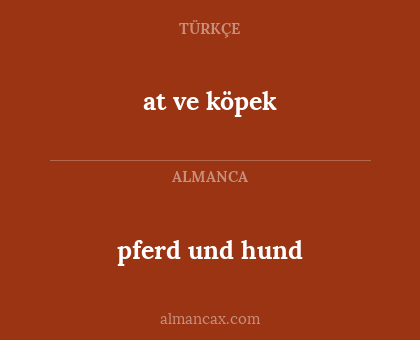 pferd und hund - at ve köpek