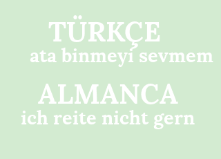 ata+binmeyi+sevmem-ich+reite+nicht+gern.png