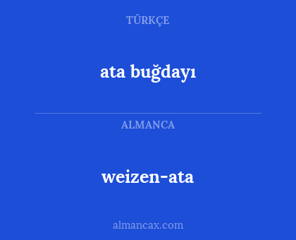 weizen-ata - ata buğdayı