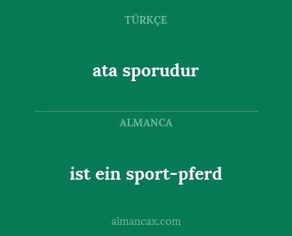 ist ein sport-pferd - ata sporudur