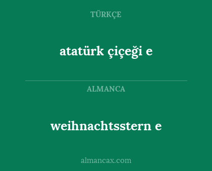 atatürk çiçeği
e - weihnachtsstern e