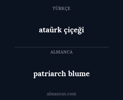 ataürk çiçeği - patriarch blume