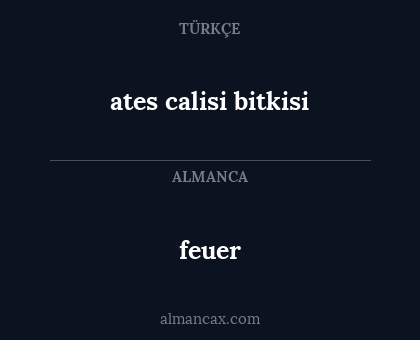 feuer - ates calisi bitkisi