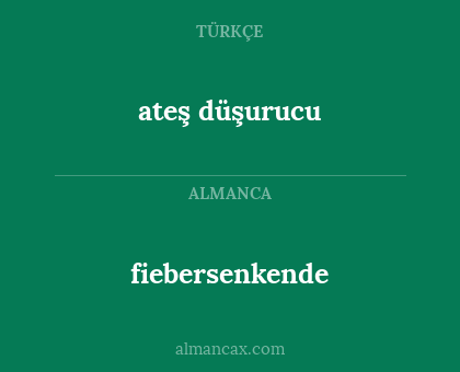 ateş düşurucu - fiebersenkende