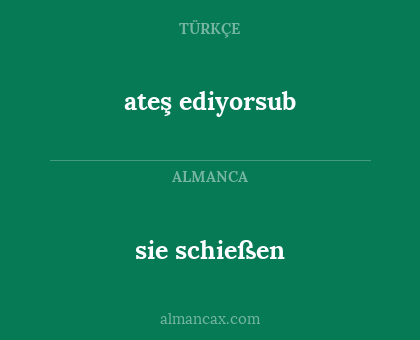 ateş ediyorsub - sie schießen