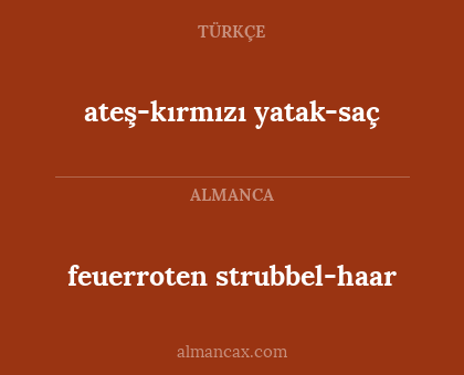 ateş-kırmızı yatak-saç - feuerroten strubbel-haar