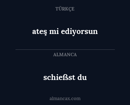 schießst du - ateş mi ediyorsun