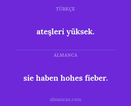 ateşleri yüksek. - sie haben hohes fieber.