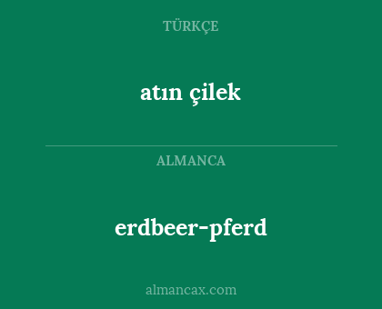 erdbeer-pferd - atın çilek