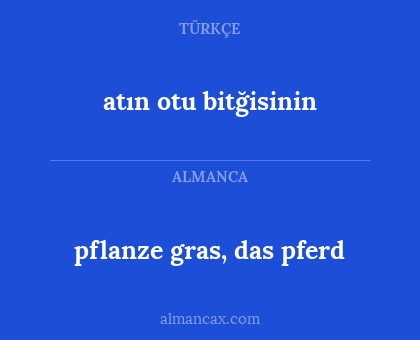 pflanze gras, das pferd - atın otu bitğisinin