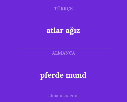 atlar ağız - pferde mund