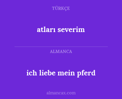 atları severim - ich liebe mein pferd