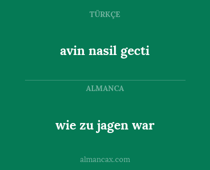 wie zu jagen war - avin nasil gecti