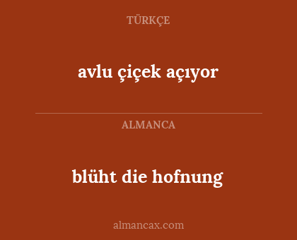 avlu çiçek açıyor - blüht die hofnung