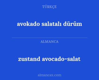 zustand avocado-salat - avokado salatalı dürüm