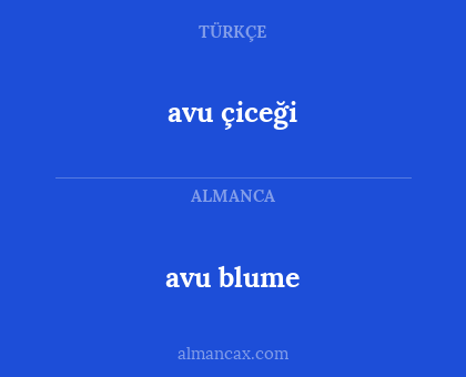avu blume - avu çiceği
