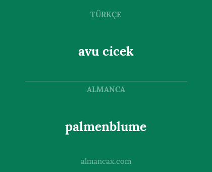 avu cicek - palmenblume