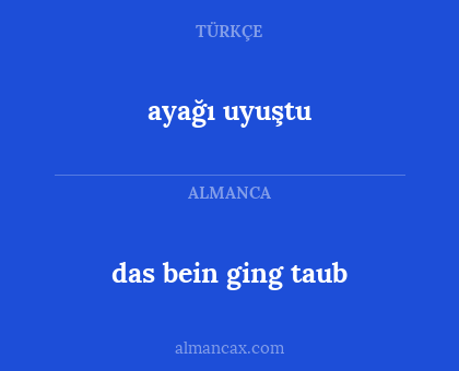 ayağı uyuştu - das bein ging taub