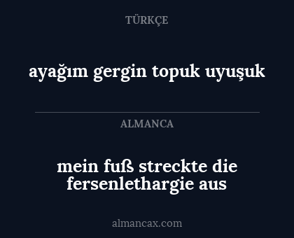 ayağım gergin topuk uyuşuk - mein fuß streckte die fersenlethargie aus
