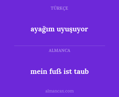 ayağım uyuşuyor - mein fuß ist taub